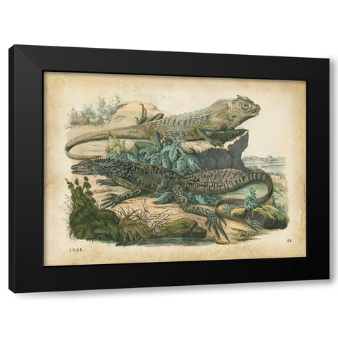 Natures Gathering VI Black Modern Wood Framed Art Print with Double Matting by Wiek, John