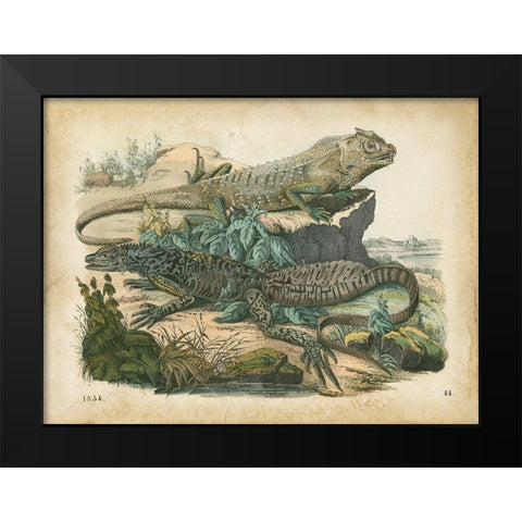 Natures Gathering VI Black Modern Wood Framed Art Print by Wiek, John