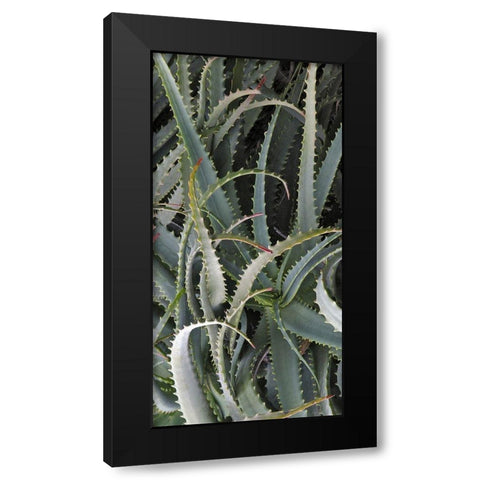 Prickly Cactus Black Modern Wood Framed Art Print with Double Matting by Perry, Rachel