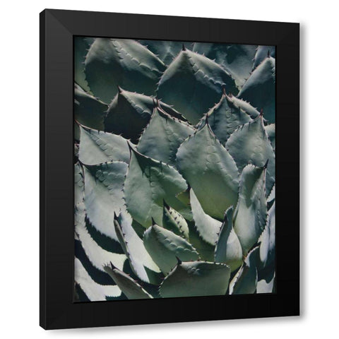 Agave I Black Modern Wood Framed Art Print by Perry, Rachel