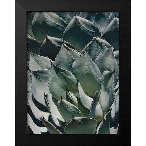 Agave I Black Modern Wood Framed Art Print by Perry, Rachel