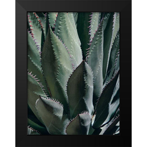Agave II Black Modern Wood Framed Art Print by Perry, Rachel