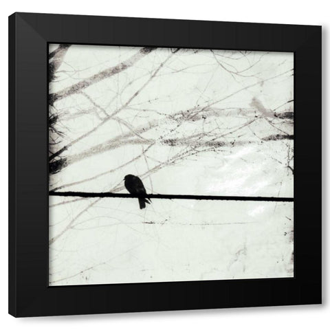 Silver Days II Black Modern Wood Framed Art Print by Blixt, Ingrid