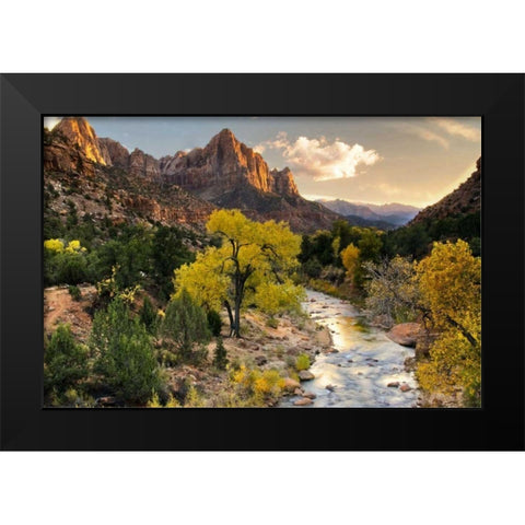 Brilliant View II Black Modern Wood Framed Art Print by Chester, Colby