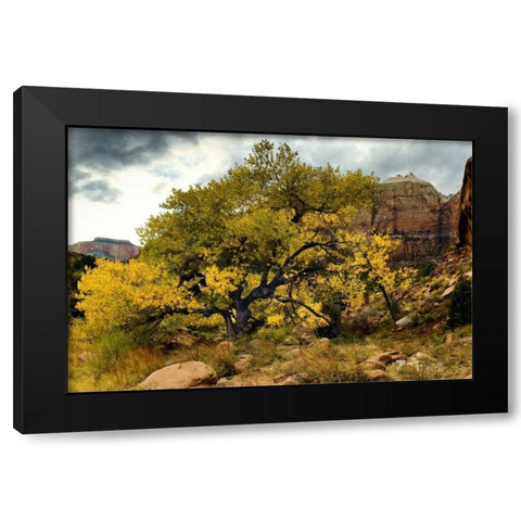 Brilliant View III Black Modern Wood Framed Art Print by Chester, Colby