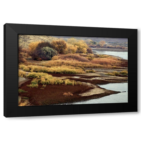 Brilliant View IV Black Modern Wood Framed Art Print with Double Matting by Chester, Colby