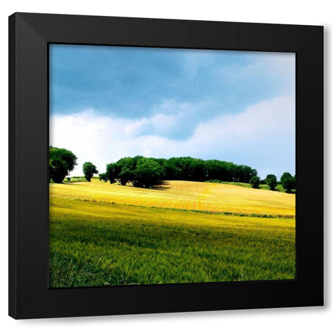 Larrissingle I Black Modern Wood Framed Art Print by Chester, Colby