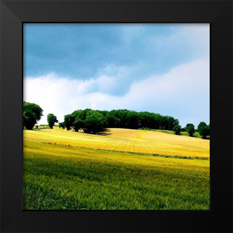 Larrissingle I Black Modern Wood Framed Art Print by Chester, Colby