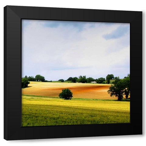 Larrissingle II Black Modern Wood Framed Art Print by Chester, Colby