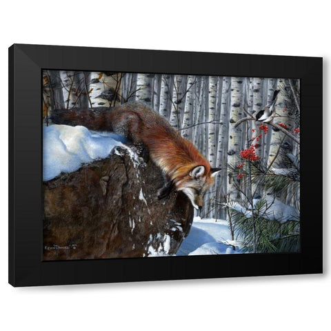 Fox in Winter Black Modern Wood Framed Art Print with Double Matting by Daniel, Kevin