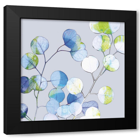 Modern Branch II Black Modern Wood Framed Art Print with Double Matting by Mountain, Ricki