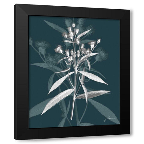 Jewel Stems I Black Modern Wood Framed Art Print by Burghardt, James