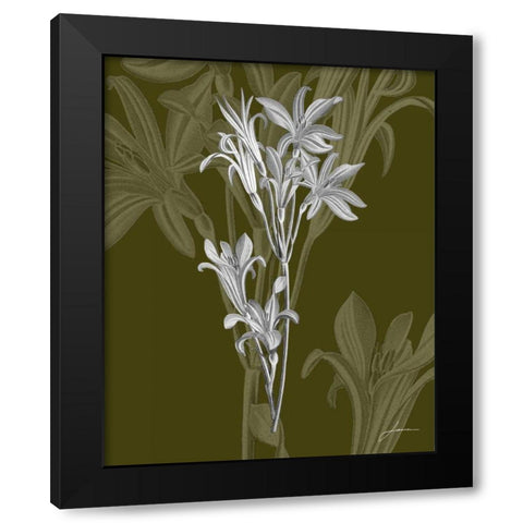 Jewel Stems II Black Modern Wood Framed Art Print by Burghardt, James