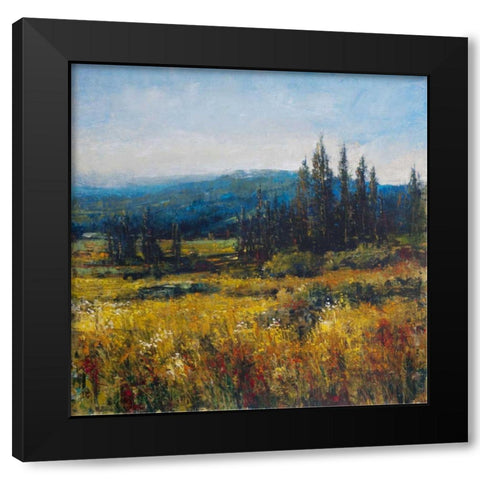 Pacific Northwest I Black Modern Wood Framed Art Print with Double Matting by OToole, Tim