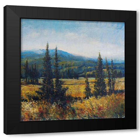 Pacific Northwest II Black Modern Wood Framed Art Print with Double Matting by OToole, Tim