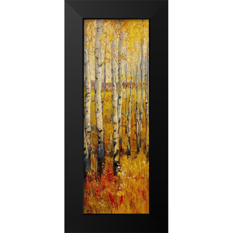 Vivid Birch Forest II Black Modern Wood Framed Art Print by OToole, Tim