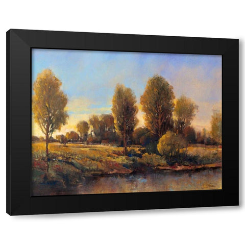 Riverside Light II Black Modern Wood Framed Art Print by OToole, Tim