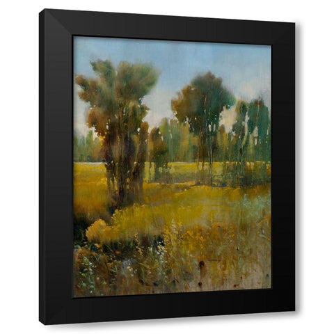 Sunkissed Field II Black Modern Wood Framed Art Print by OToole, Tim