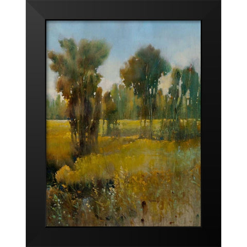 Sunkissed Field II Black Modern Wood Framed Art Print by OToole, Tim