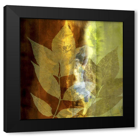 Lush Sunlight Black Modern Wood Framed Art Print by Butler, John