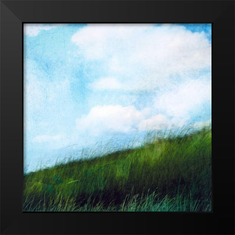 Bright Field II Black Modern Wood Framed Art Print by Blixt, Ingrid