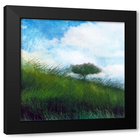 Bright Field IV Black Modern Wood Framed Art Print with Double Matting by Blixt, Ingrid