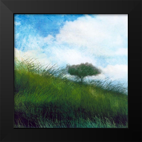 Bright Field IV Black Modern Wood Framed Art Print by Blixt, Ingrid