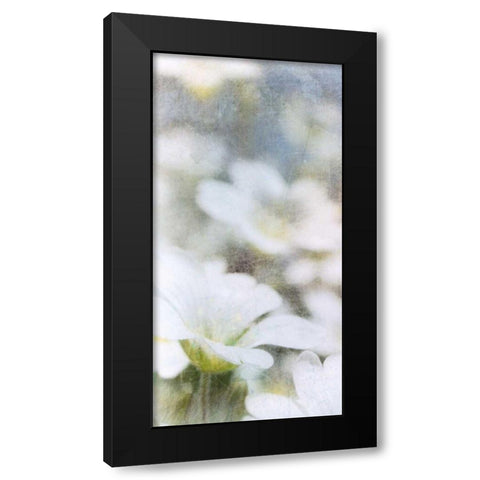 Looking Glass I Black Modern Wood Framed Art Print with Double Matting by Blixt, Ingrid