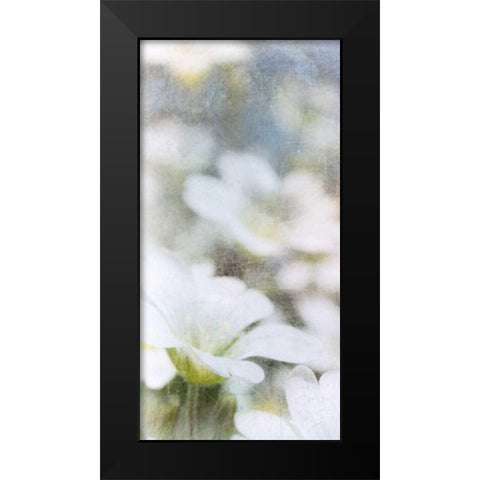 Looking Glass I Black Modern Wood Framed Art Print by Blixt, Ingrid