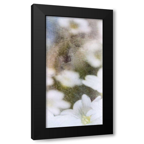 Looking Glass II Black Modern Wood Framed Art Print with Double Matting by Blixt, Ingrid