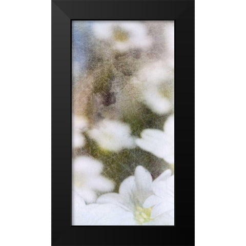 Looking Glass II Black Modern Wood Framed Art Print by Blixt, Ingrid