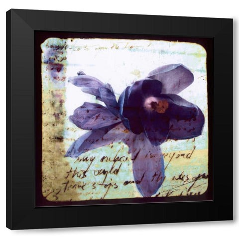 Blooming Purple II Black Modern Wood Framed Art Print by Open Journey