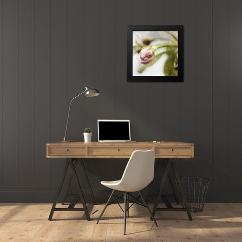 Apple Blossom III Black Modern Wood Framed Art Print by Open Journey
