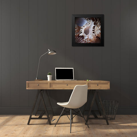 Macro Shells II Black Modern Wood Framed Art Print by Perry, Rachel