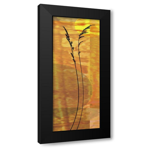 Sunset Duet IV Black Modern Wood Framed Art Print with Double Matting by Burghardt, James