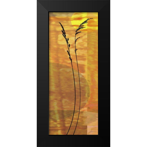 Sunset Duet IV Black Modern Wood Framed Art Print by Burghardt, James