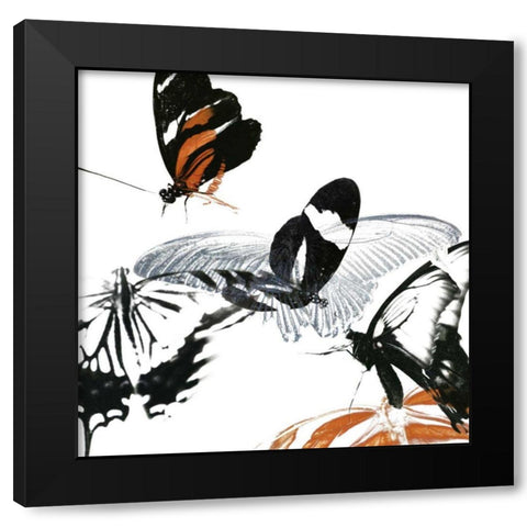 Butterfly Inflorescence III Black Modern Wood Framed Art Print by Project, A.