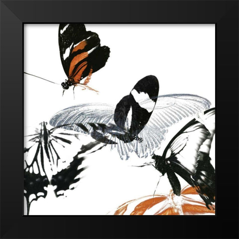 Butterfly Inflorescence III Black Modern Wood Framed Art Print by Project, A.