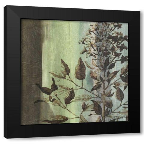 Painted Botanical IV Black Modern Wood Framed Art Print by Butler, John