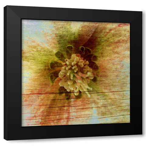 Petrified Stem I Black Modern Wood Framed Art Print by Harrington, Danielle