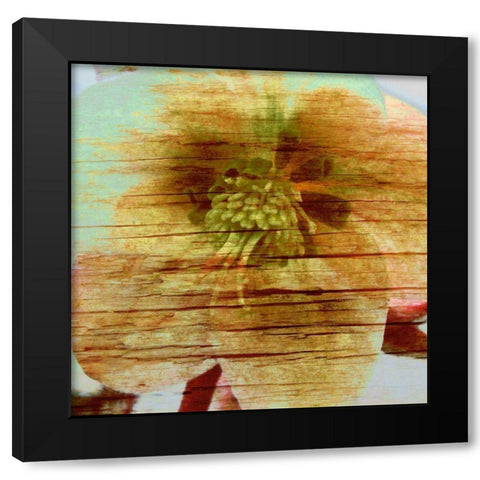 Petrified Stem II Black Modern Wood Framed Art Print by Harrington, Danielle
