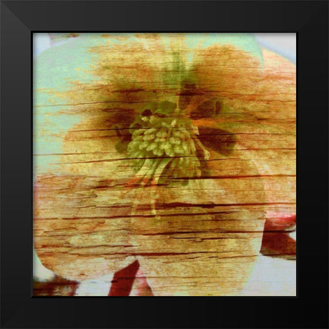 Petrified Stem II Black Modern Wood Framed Art Print by Harrington, Danielle