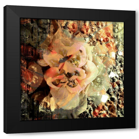 Eveline II Black Modern Wood Framed Art Print by Harrington, Danielle