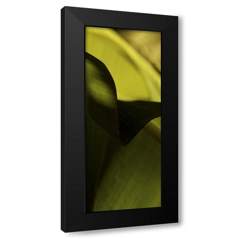 Leaf Detail II Black Modern Wood Framed Art Print with Double Matting by Ling, Tang