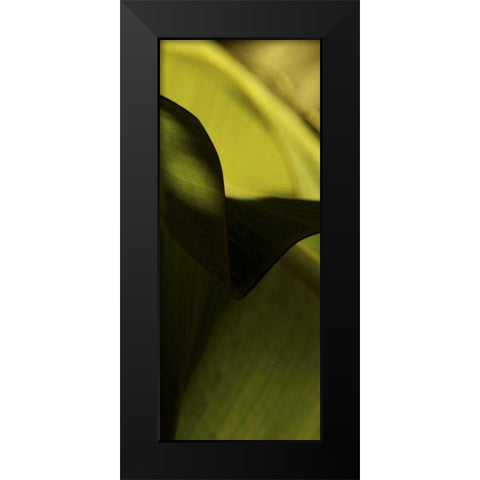 Leaf Detail II Black Modern Wood Framed Art Print by Ling, Tang