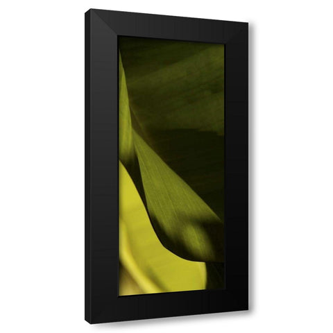 Leaf Detail III Black Modern Wood Framed Art Print by Ling, Tang