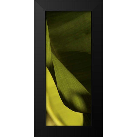 Leaf Detail III Black Modern Wood Framed Art Print by Ling, Tang