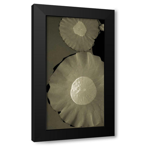 Lotus I Black Modern Wood Framed Art Print by Ling, Tang