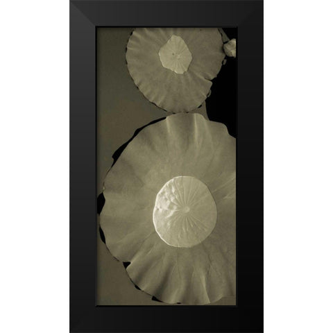 Lotus I Black Modern Wood Framed Art Print by Ling, Tang