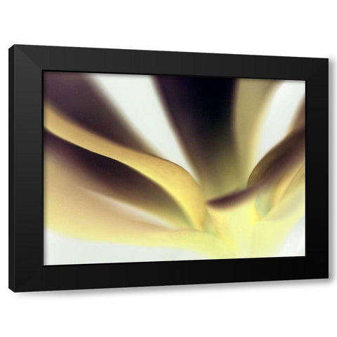Petal II Black Modern Wood Framed Art Print with Double Matting by Ling, Tang